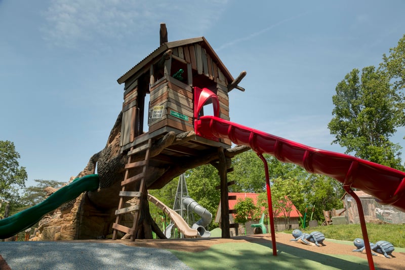 Walker Mill Regional Park preview 3